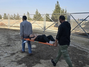 0 02 0b 65f390943efe413046cea2479971c9db41f160d3a145a33ceba4620c13f83882 F75978f225435c5d.jpg